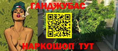 ECSTASY Лесосибирск